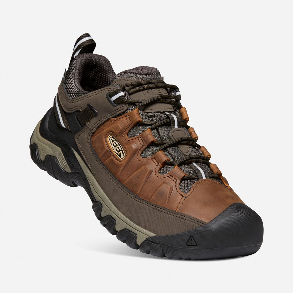 Keen Wandelschoenen Heren Bruin - Targhee Iii Waterproof - 30271-GBOF